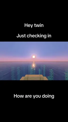 Hope all is well #Minecraft #heytwin #positivity #fyp 