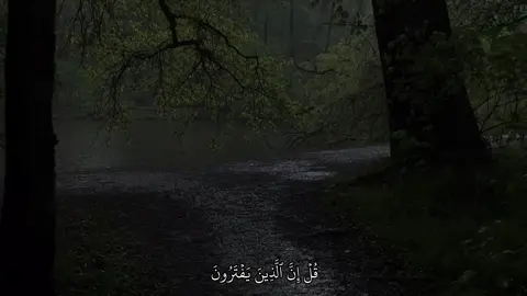#قران #quran #صدقه_جاريه #لايكات 