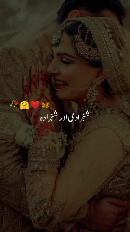 Tum meri shahzadi or me tumhara shahzada❤️🥀 #foryou #hammadwrites7868 #foryoupage #vrial #fyp 