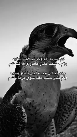 #قصايد_شعر #سعود_العاطفي #fyp 