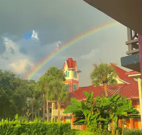 ethereal shapes revealed through natural occurrences. #rainbow #aesthetic #videography #nature #rain #nature #vibes 