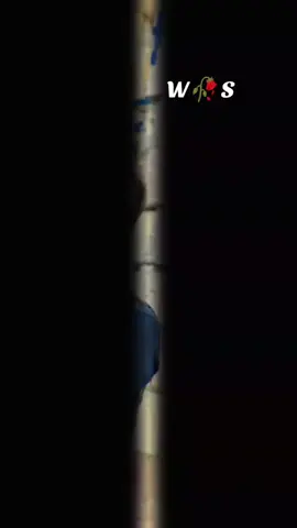 W🥀 S@Aziz shinwari 