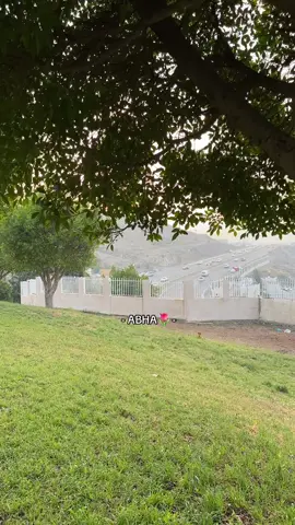 ❤️❤️ #explore #عشوائيات #abha #اكسبلور؟ #fyp 