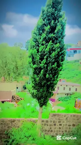 #foryourpage #🤧😭💔viralvideo #######