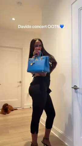 My dog in the corner lol. #fashioninspo #concertoutfit #davidoconcert #birkin25 