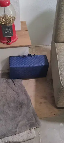 #awe #toocute #pibble #puppies #omg #adorable #viral #fyppppppppppppppppppppppp 