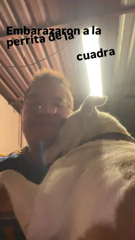 No quiere comer desde que vio que se le pegaron a su crush 💔😔😭🥺.  #sad #mascota #triste #fyp #motivation #animo #perritotriste 
