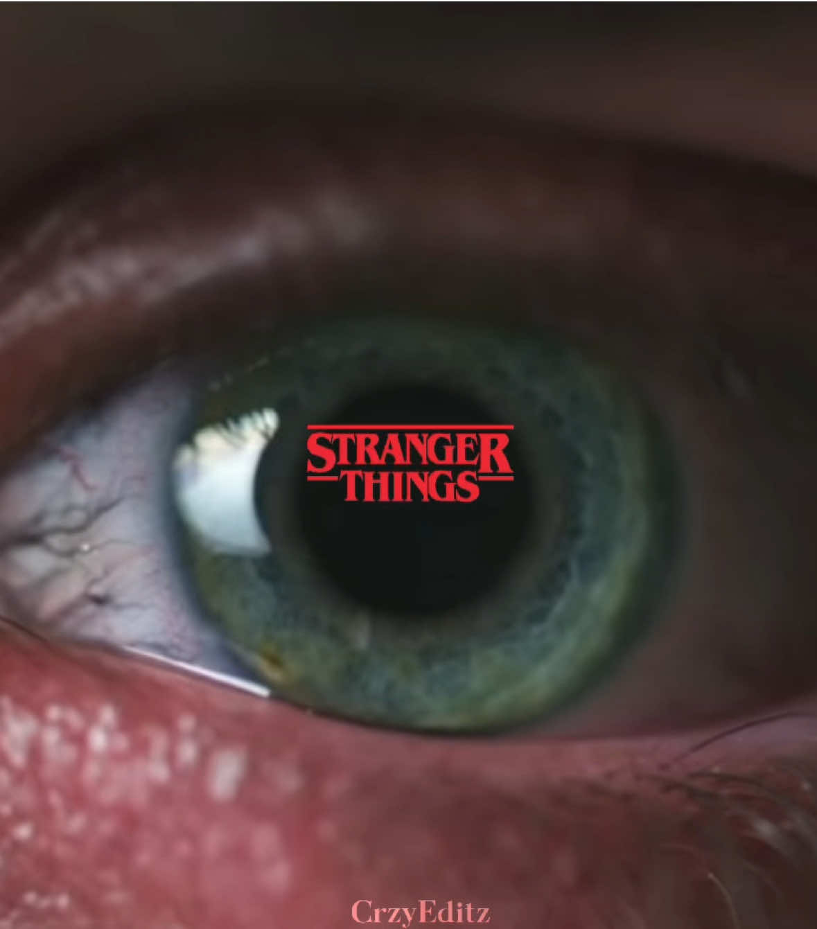 (Stranger Things Edit) (All Seasons) 🙌 (Can’t wait for season five!) #edit #viral #fyp #strangerthings #strangerthings5 #strangerthings4 #trending #strangerthings3 #strangerthingsedits #netflixseries #netflix #season5comingsoon #steveharrington #fypp #strangerthings2  (voidscc also has an edit exactly like this amazing!!)