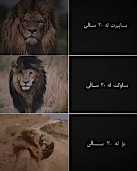 یەڵا یەڵا😂!#x2bilal #explore 