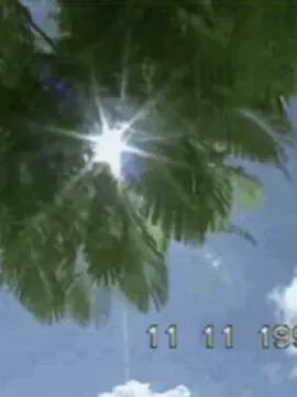#tropicalcore🌴🌺🌊 #hawaii #2000s #core #yourpage_foryupage_____tiktok♥️  #viral #fypp #parati #tiktokponmeenparatii #creatorsearchinsight #noflopplease @TikTok 