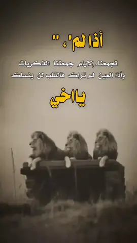 #عبارات_كاسبار_المنصه_الاولى #تصميم_فيديوهات🎶🎤🎬 #اكسبلورexplore 