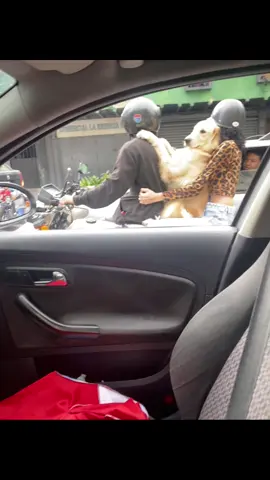 #LIVEIncentiveProgram #LIVEStory #PaidPartnership 