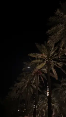 #عنيزة #نخلة🌴 #القصيم 