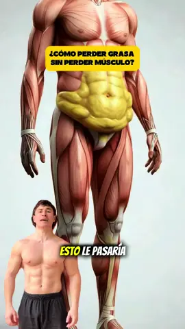 🔥 Esto es lo que pasa cuando perdés grasa sin perder músculo… 🔥 ¿Querés llegar al verano sin panza y con un físico marcado? Entonces olvidate de comer poquito o hacer mucho cardio. La verdadera transformación ocurre cuando ganás masa muscular magra, porque el músculo acelera el metabolismo y hace quemar grasa incluso en reposo. ¿Lo mejor? No necesitás gimnasio. ✅ Solo 3 entrenamientos HIIT de musculación por semana ✅ Con tu propio peso corporal ✅ Desde casa y con una buena planificación 💧 Sumale hidratación, constancia y esto es la estrategia correcta… y vas a lograrlo antes de lo que pensás. Empezá hoy mismo💥 . . . #perderbarriga #perdergrasa #perderpeso #bajardepeso #perdidadepeso #perdidadegrasa 