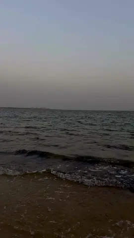 انّمِا عينيكَ بحرٌ لامِع  🤍🎻✨. #تعال #سلمان_العويس #على_سيف_البحر #اغاني #اكسبلورexplore #اكسبلور #تيك_توك_ #ترندات_تيك_توك #جالس #بحر #سماء #اغاني #اغاني_عربية 