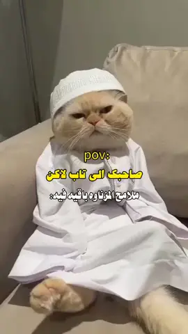 #arab #tiktok #fyp #nunomendes ##arab 