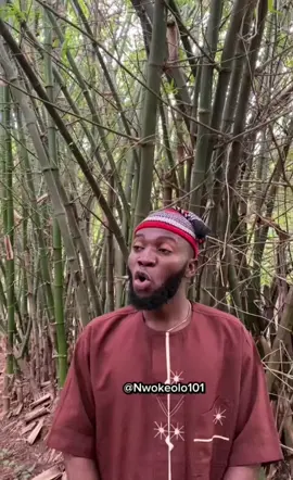 #fyppppppppppppppppppp #nwokeolo #igbo #igboamaka #fypsounds #vi #videoviral 