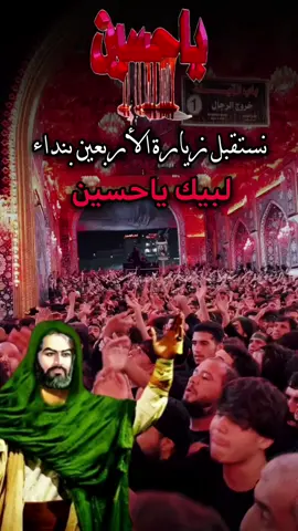 #ذكرى_اربعينية_الامام_الحسين_عليه_السلام#ياحسين  #عظم_الله_اجورنا_واجوركم_بهذا_المصاب #dancewithpubgm #foryoupage❤️❤️ 