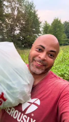 Do you love gardening? #garden #gardening #gardeninghacks #gardeningtips #gardentiktok #gardeningtok #harvest #harvesting #greenbeans #fyp #fypシ 