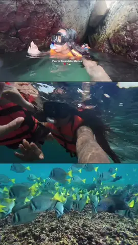 Puerto Escondido, Oaxaca, Mexico. Paradise on earth 💘🏝️ #fyp #puertoescondido #oaxaca #travelvlog #vacationvlog #Summer #summervacation #travel #mexico 