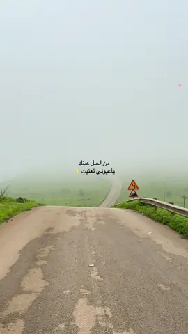 #صلاله #صعدو_الفيديو #اكسبلورexplore #عوقد #salalah #صلاله_عُمان #اكسبلور #