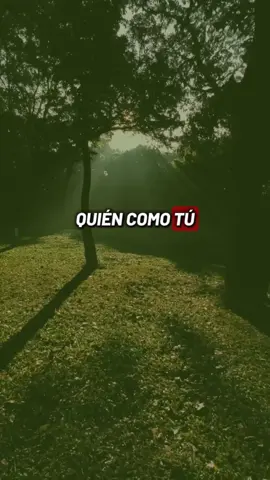 Amado de mi alma 🫂 gracias por tu amor 🧡 #jesuslovesyou #todos #fyp #buenastardes #paratiiiiiiiiiiiiiiiiiiiiiiiiiiiiiii #jesus #buenosaires 