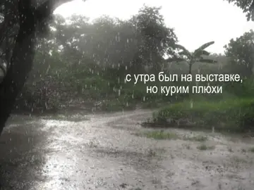я оюблю аквакея #aquakey #aquagwap #аквакей @aquagwap 