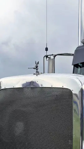 Wabbit Szn @DonaldMaxwell1776 @Sheldon Spearman @ag.exempt #fyp #bigrig #largecar #trucker #chrome #dieselpower #bigtrucks #trucking #trucksoftiktok #trucklover #truckerlife #trucktok #trucks #peterbilt #389 #389peterbilt #389pete #peterbilt389 #pete389 #flatbedder #flatbed #stepdeck #mcdonaldtruckingllc #618 