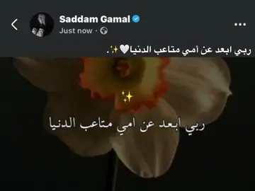 ربي ابعد عن أمي متاعب الدنيا🤍✨. #foryou #fyp #اكسبلورexplore 