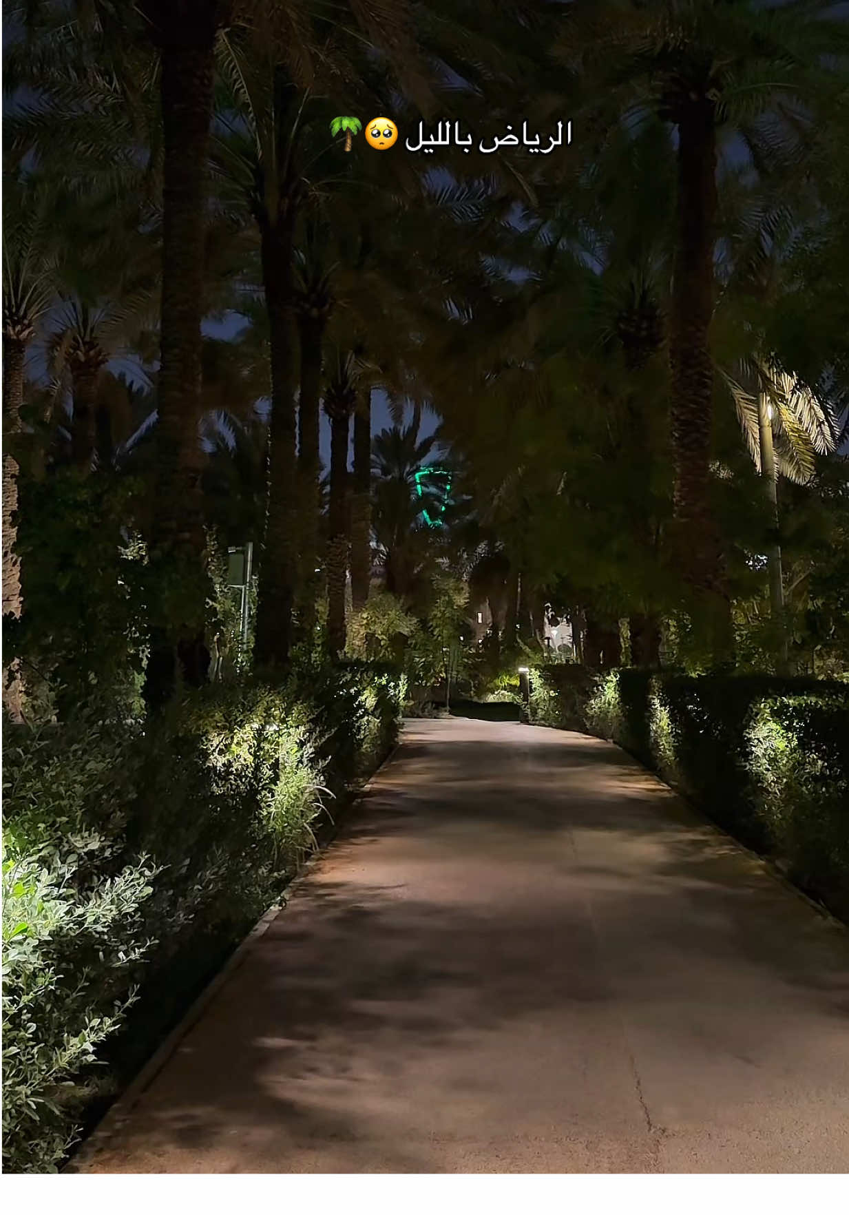 #اكسبلور #الرياض #الليل #حديقه #ترند #explore 