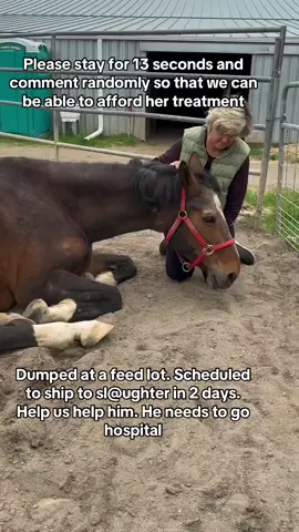 Please stay for 8 seconds and comment randomly so that we can be able to afford her treatment. #HorseRescue #HorseStory #HorsePlus #Besties #SuccessStory #ADOPTED #JusticeForTWH #EndBigLick #DynamicDuo 
