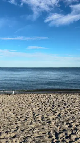 a New England summer