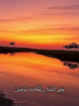 ️ في السما مكتوب رزقك… فاهدّى واطمّن 🤍 ﴿وَفِي السَّمَاءِ رِزْقُكُمْ وَمَا تُوعَدُونَ﴾ رزقك مش ضايع، وموعودك مش منسي… والتأكيد؟ ﴿فَوَرَبِّ السَّمَاءِ وَالْأَرْضِ إِنَّهُ لَحَقٌّ مِّثْلَ مَا أَنَّكُمْ تَنطِقُونَ﴾ يعني زي ما بتتكلم… ربنا وعد ووعده حق. لو الآية دي طمنتك زيي، تابعني عشان نوصل سوا لليقين في وعد ربنا كل يوم 🌤️ #رزق #طمأني#طمأنينة#قران_كريمم  #قران #اسلاميات #اسلام #islamic_video #islamic #مسلم #الرزق #muslim #عبد_الباسط_عبد_الصمد 