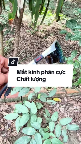 Mắt kính phân cực chất lượng #tuyentrainghiem17 #phongdungthu17 #matkinhphancuc #matkinhthethao #matkinh 