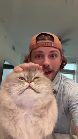 One and only! #fyp #funny #catsoftiktok 