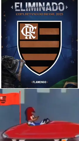 flamengo acabou de perder #flamengo #atleticomg #copadobrasil #fy 