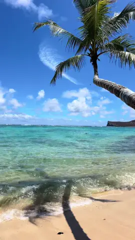 beach day! #hawaii #fyp 