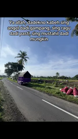 Magis arjuna😇 #emaneonosabrang#sweetpotato#ubijalar#telo#banyuwangi 