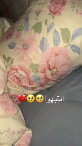 يالله صباح خير #foryou #fyp #explore #الشعب_الصيني_ماله_حل😂😂 #مالي_خلق_احط_هاشتاقات🦦 #اكسبلور #بنات 