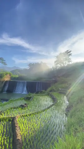 ✨ #wonogiri #wonogiri24jam 