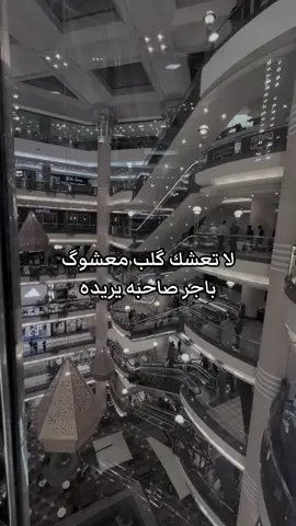باجر صاحبه يريده.   #creatorsearchinsight #الشعب_الصيني_ماله_حل😂😂 #creatorsearchinsights #fyp 
