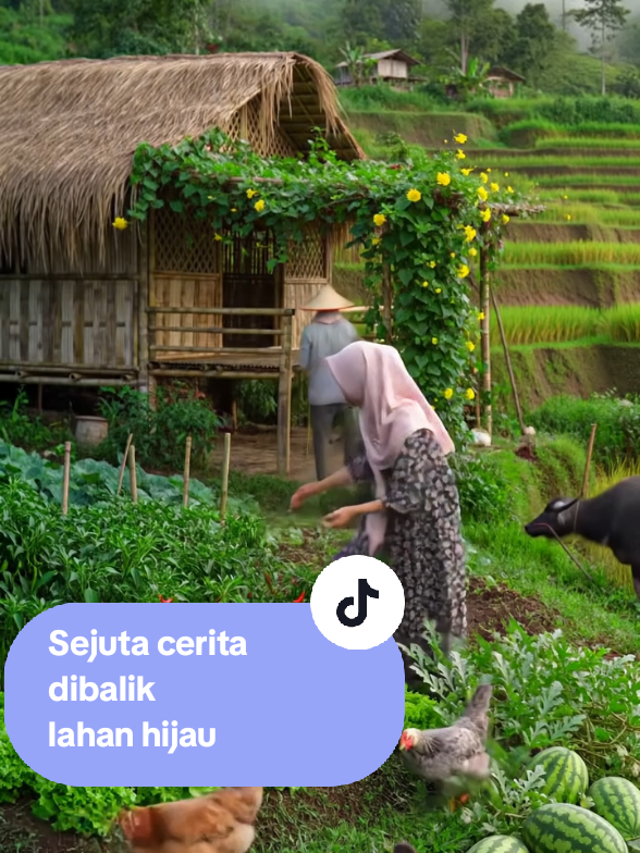 Ketenangan hidup yang didambakan.... #FYP#PesonaAlam#pedesaan#Petualangan#AlamIndonesia 