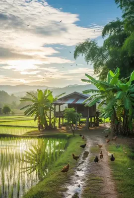 #fypppppppppppppppp  #laguviral #lagusedih #lirklagu #lodytambunan #pusarakasih