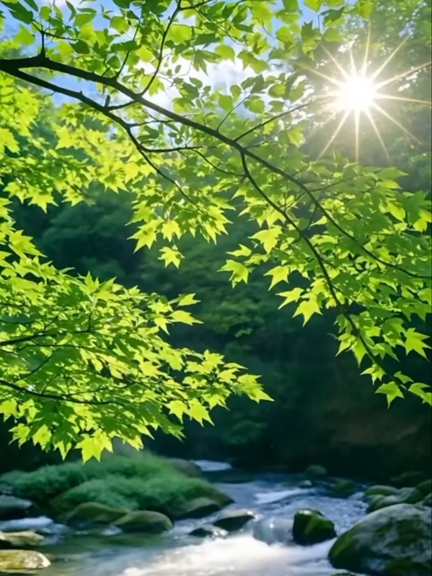 #naturespring #naturebeauty #naturelover #niceview #amazing #relaxing #fantasy #longervideos #videobackground #livewallpaper #freetouse #usenow #trending #viral #foryoupage #foryou 