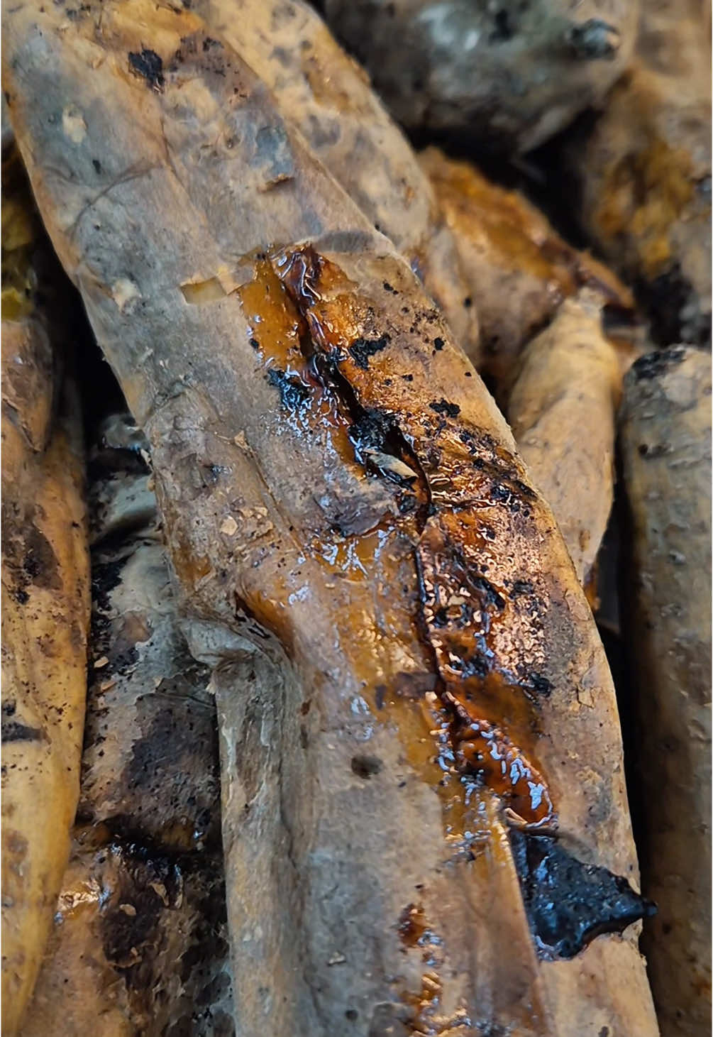 Sudah makan ubi hari ini ??#cilembu #ubicilembu #ubicilembubanjarmasin #banjarmasinfood #makanansehat #healthyfood #makananenak #banjarmasininfo #foodhealty #fyp #fypシ゚viral 