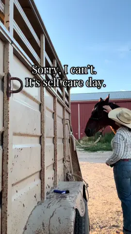 I’m not saying that wide open Wyoming spaces will fix your problems, but have you tried?  #horses #ranchlife #westernlife #horsetok #therapy 