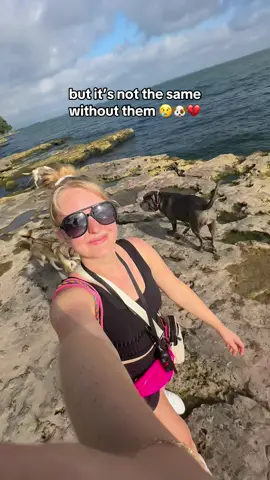 I miss my babies already 😭😭😭 #dogmom #lifewithdogs #lakedogs 