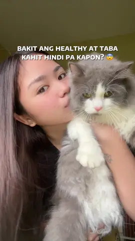 syempre kapag healthy lalong tataba ang mga babies #dewormforcats #saycx 