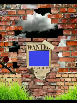 sum free overlay’s #fyp #viral #greenscreen #overlays #editingmaterial 