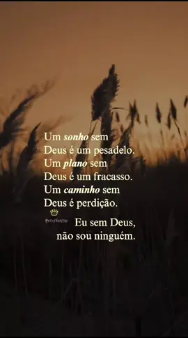 Eu sem Deus não sou ninguém  #status #fe #reflexaododia #cristão #frasesmotivadoras 